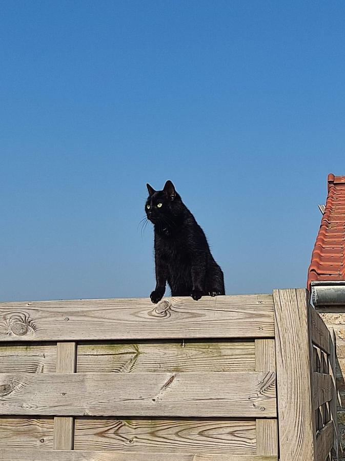 De Blinker Villa Knokke-Heist Kültér fotó